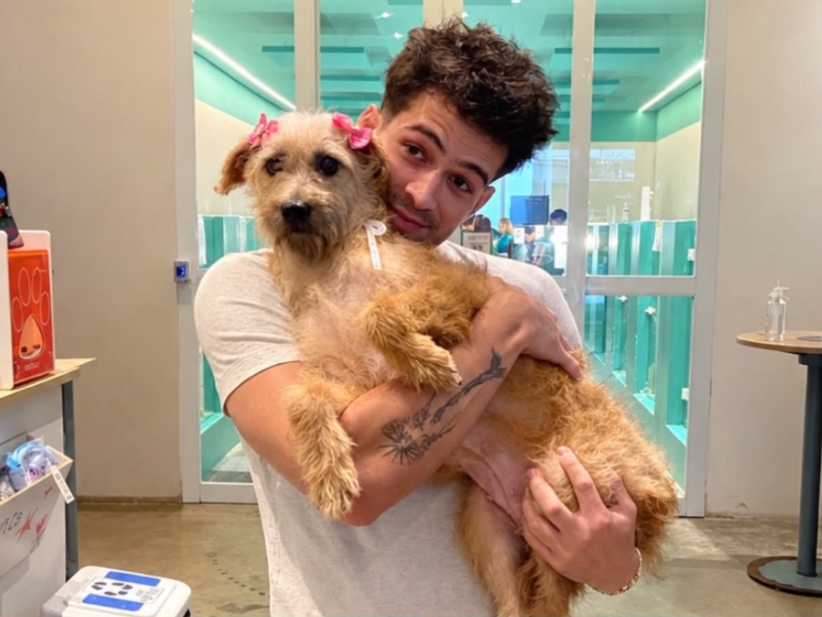 João Guilherme acolhe cachorrinha e a renomeia de Maria Joana